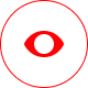Vision Icon